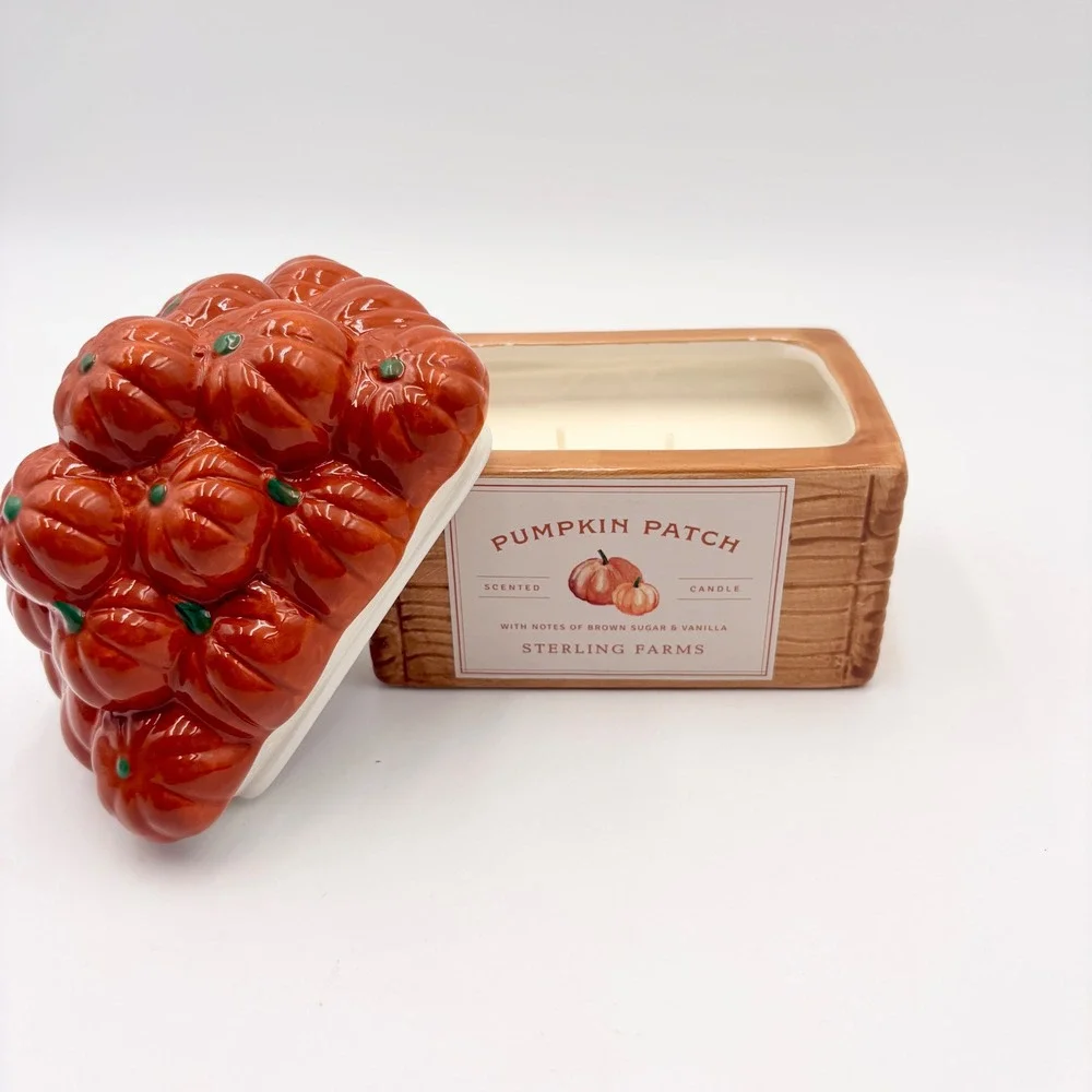 Sterling Farms Pumpkin Patch Scented 2 Wick Candle Ceramic Pumpkin Crate Jar